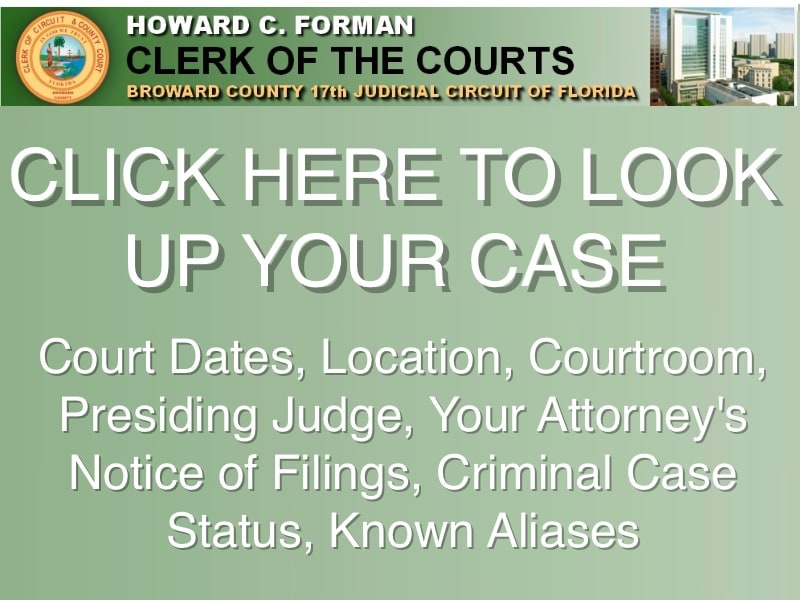 Criminal Case Search