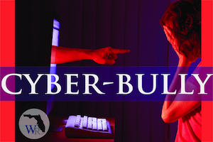 cyber bully