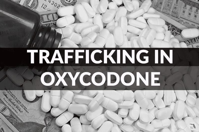 Trafficking in Oxycodone